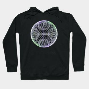 Sphere Fun Hoodie